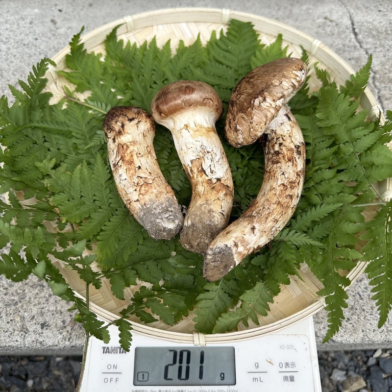 岩手産　松茸　良品　300 岩手県産松茸763g 良