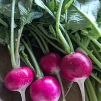 野菜の定期便／ちいさな箱
