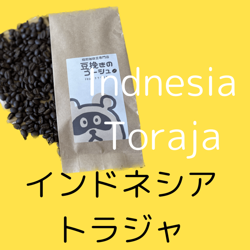 インドネシア トラジャ〈自家焙煎珈琲豆〉 | 自家焙煎珈琲豆専門店 豆