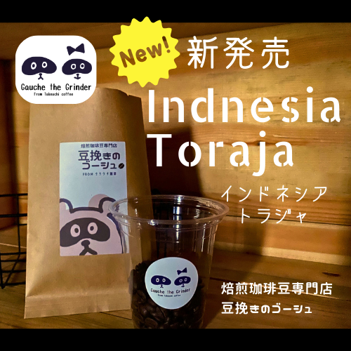 自家焙煎珈琲⭐︎珈琲豆　トラジャ インドネシア トラジャ〈自家焙煎珈琲豆〉 | 自家焙煎珈琲豆専門店 豆