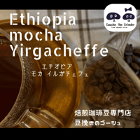 インドネシア トラジャ〈自家焙煎珈琲豆〉 | 自家焙煎珈琲豆専門店 豆