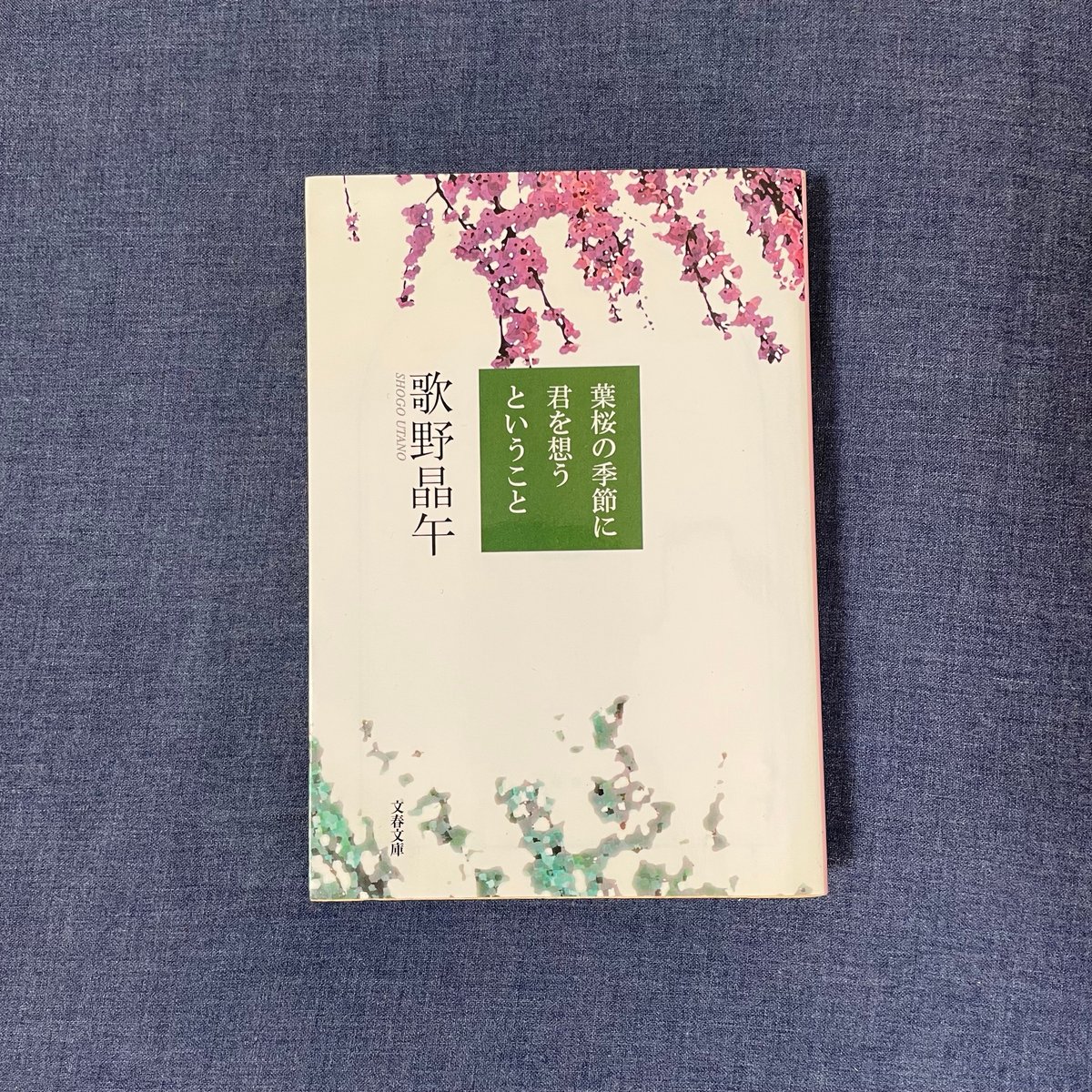 葉桜の季節に君を想うということ | 本屋ヒトスミ 