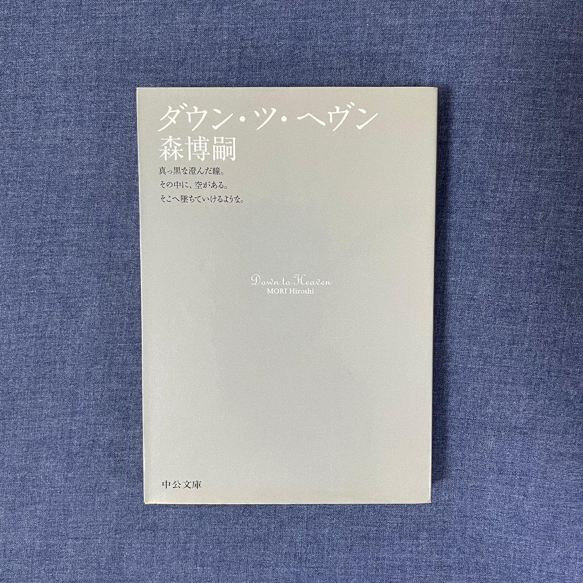 ダウン・ツ・ヘヴン | 本屋ヒトスミ