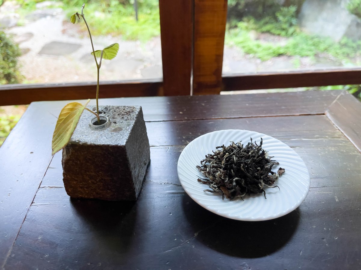 東方美人 『 台湾を代表する高級烏龍茶 蜜のように華やかな香りと甘み