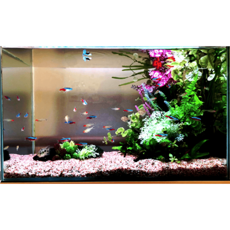 PIPチタンボール 10mm 1kg | 光触媒PIPチタンボール (10%銀含有