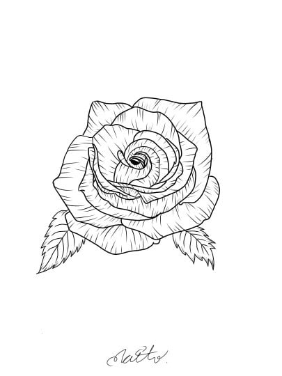薔薇の絵 薔薇(絵) | kit's STORE