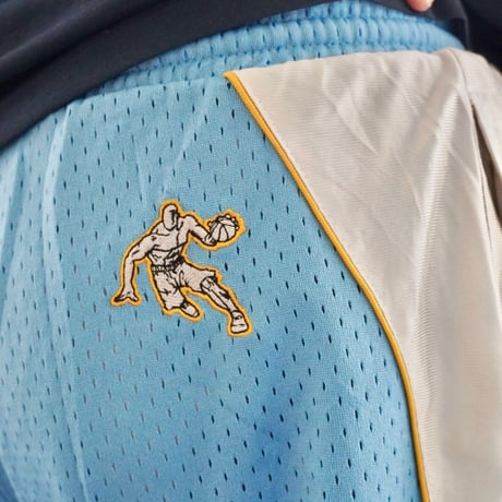 AND 1 reversible shorts