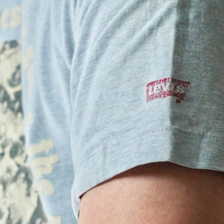 good looking USED Tee "FUJI ROCK FESTIVAL"