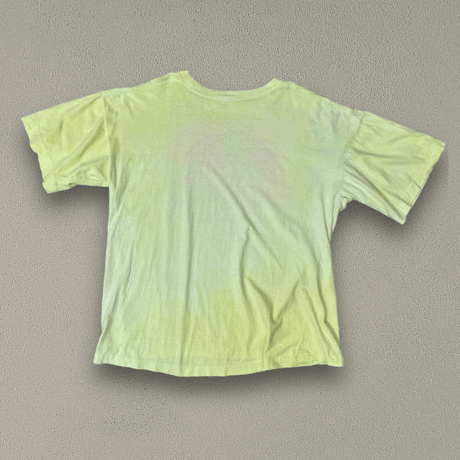 good print Tee TMNT special