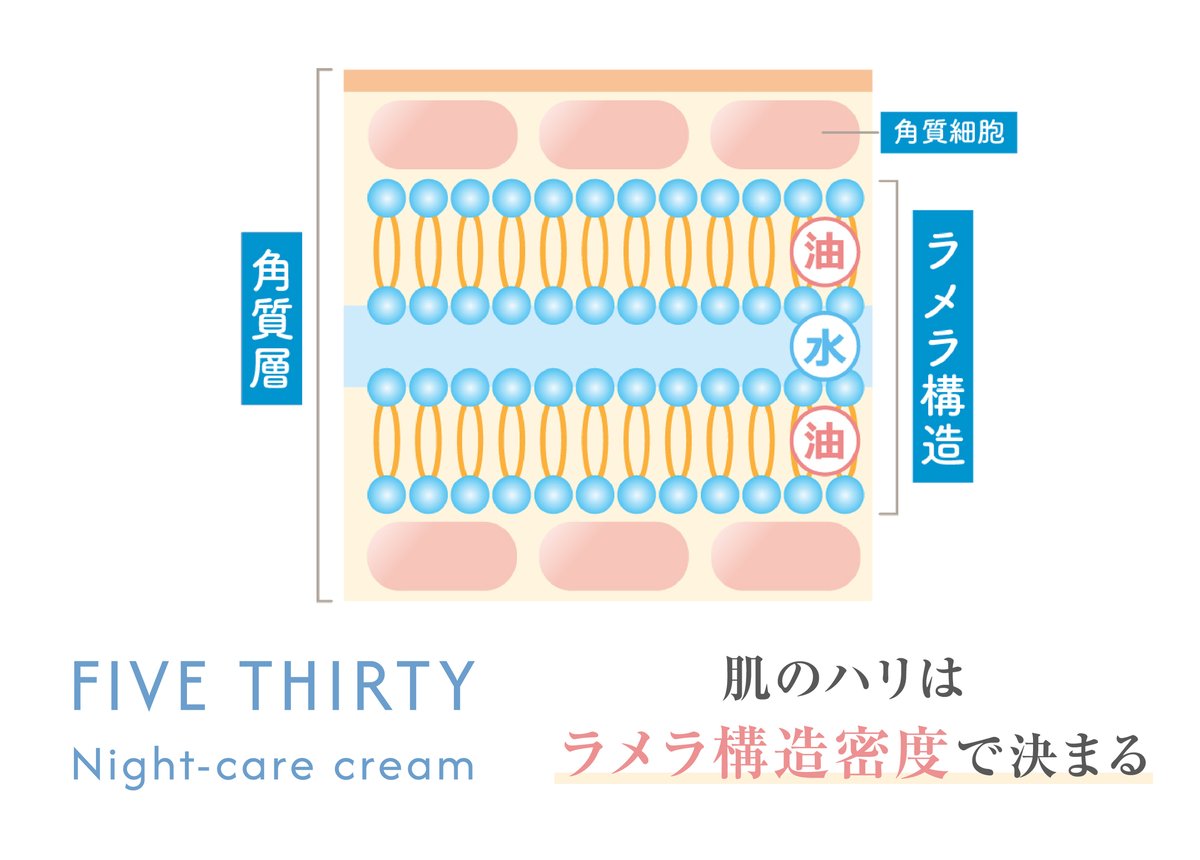 Night-care cream【欠品中】 | circuREact530