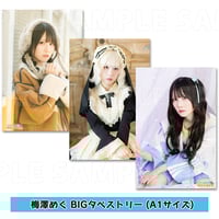 花岩香奈 トレーディング2Lブロマイド（4枚1セット） | 梅澤めぐ・紫月