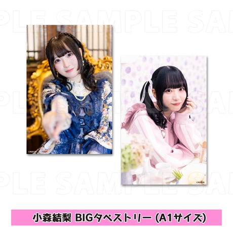 梅澤めぐ・紫月杏朱彩のラジオ花咲きカルタ