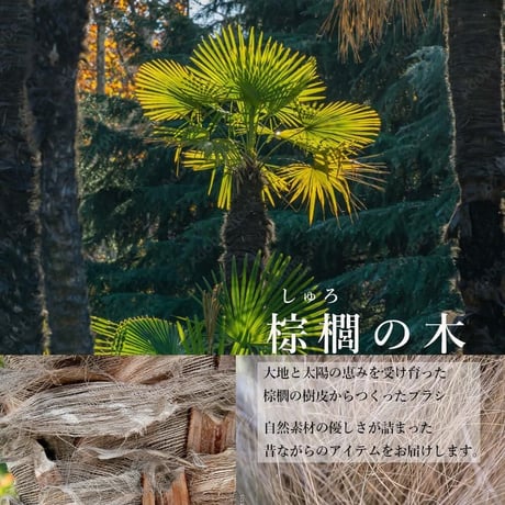 Save 棕櫚ブラシ