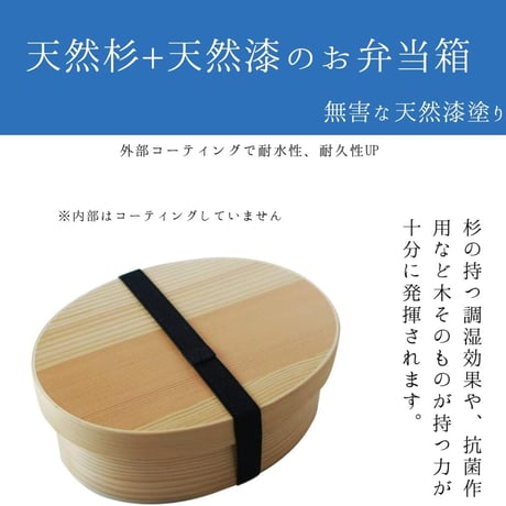 Save わっぱ弁当箱　白　単体