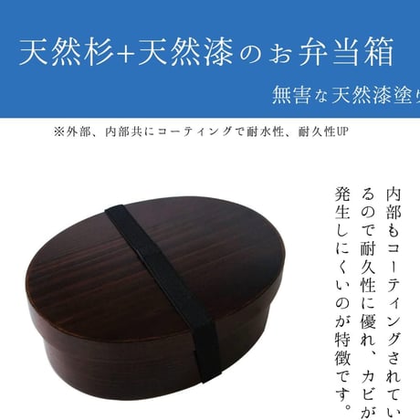 Save わっぱ弁当箱　茶色　漆塗り　単体