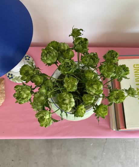 Flower Vase