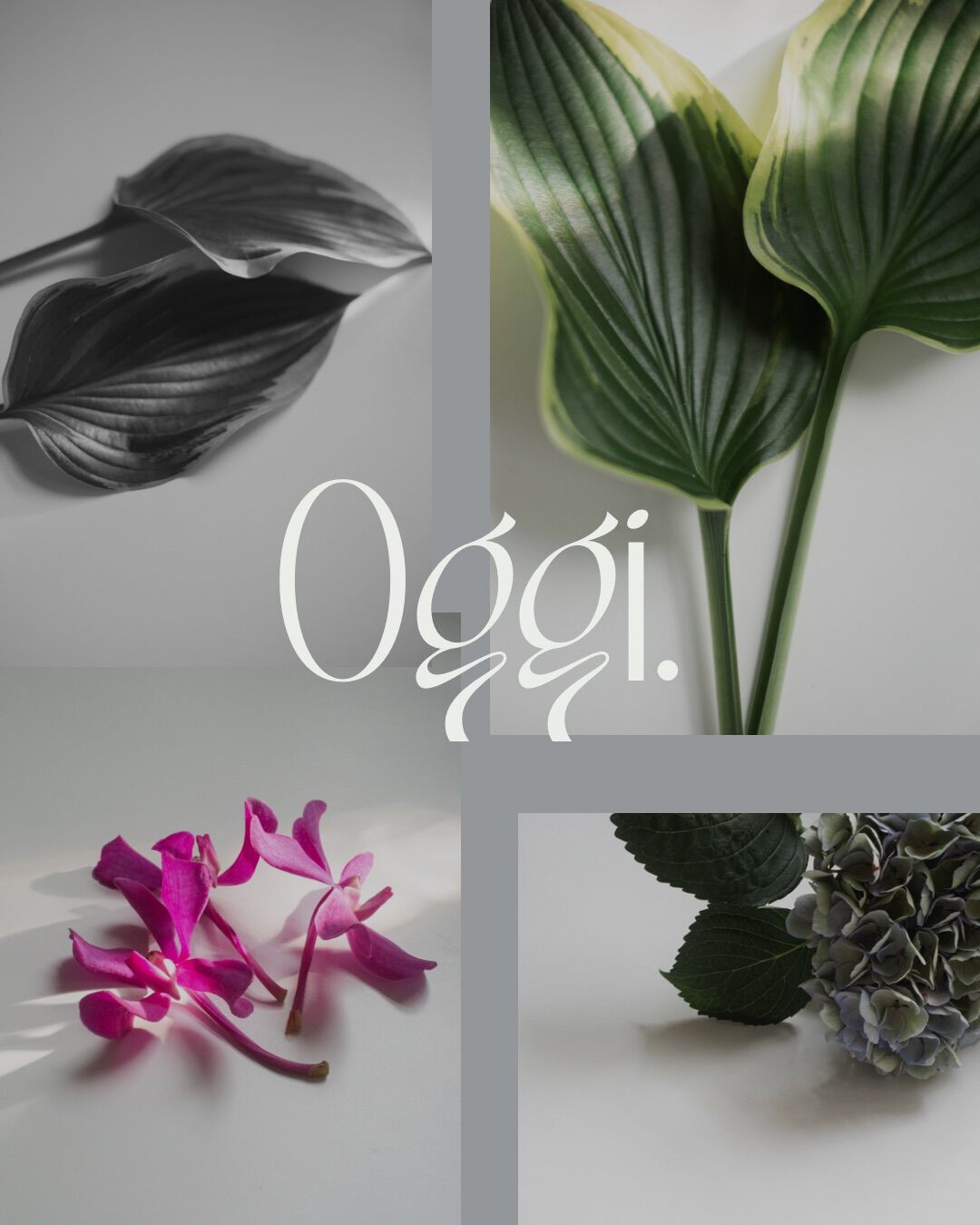 Oggi.
