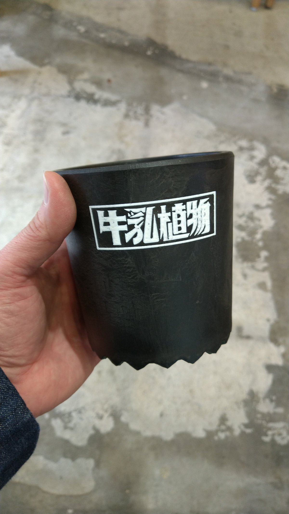 牛乳植物milkpot CUP10 | PLANTISTIC!