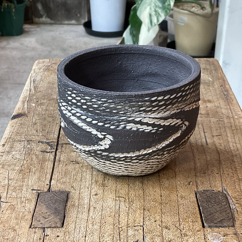 縄文神域鉢R6」M-4 | PLANTISTIC!