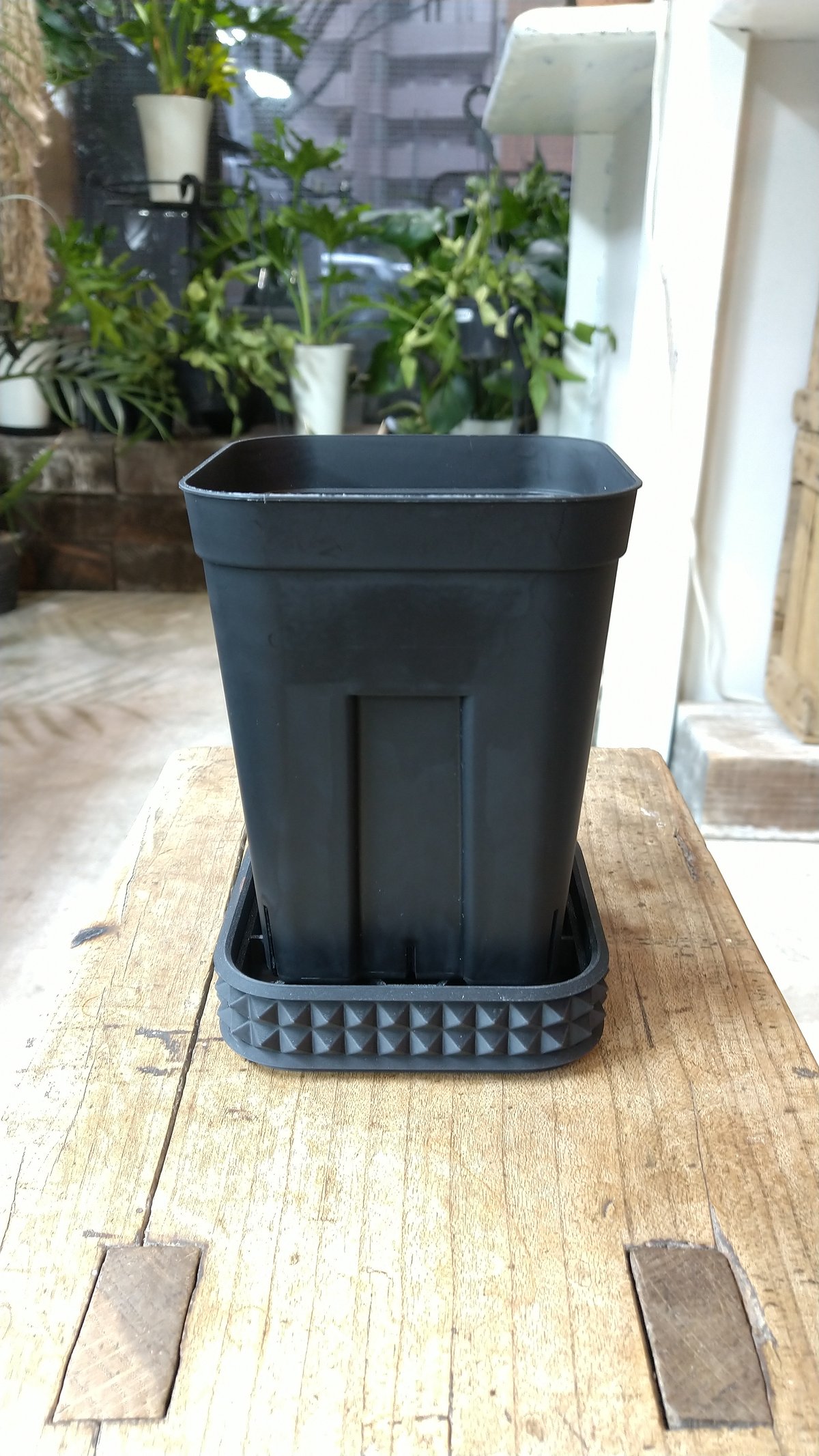 2枚セット】グスタフスベリ/スヴェン・ヨンソン ラグーン スクエア