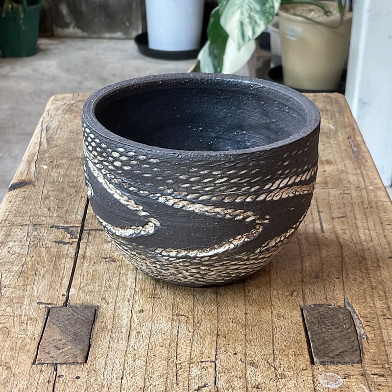 縄文神域鉢R6」M-4 | PLANTISTIC!