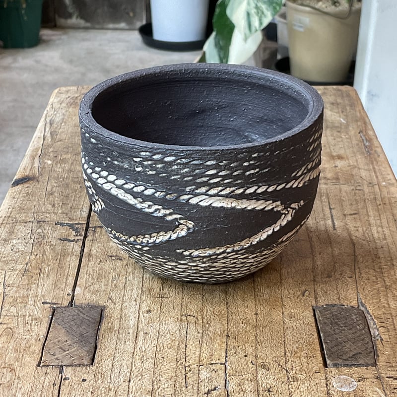 縄文神域鉢R6」M-4 | PLANTISTIC!