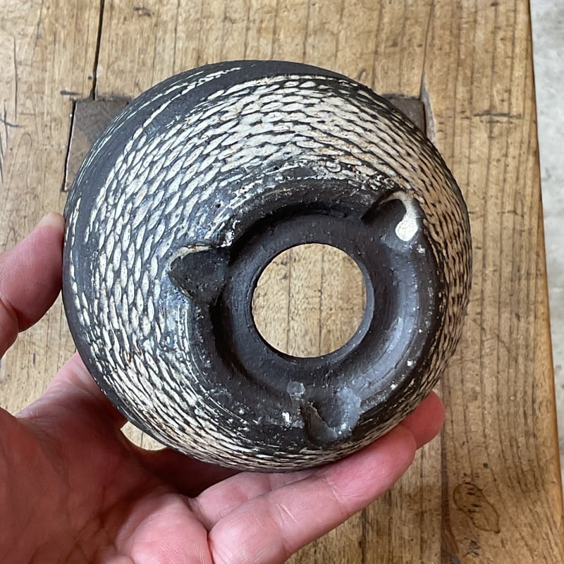 縄文神域鉢R6」M-4 | PLANTISTIC!