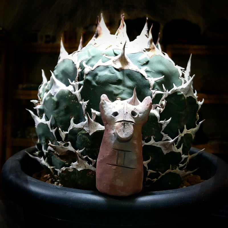 木霊ハニワ 仙臺の姿 season 2 | PLANTISTIC!