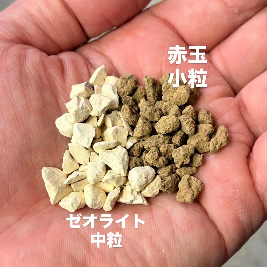 6a2ba610057a6838d1e1dbbe