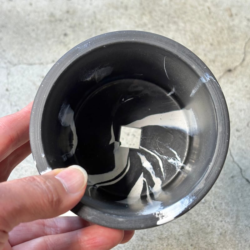 牛乳植物milkpot CUP10 | PLANTISTIC!