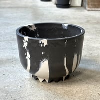 牛乳植物milkpot WAN 18