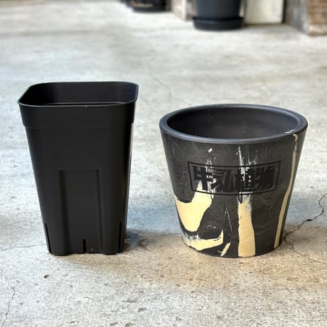 牛乳植物milkpot 「丑10」