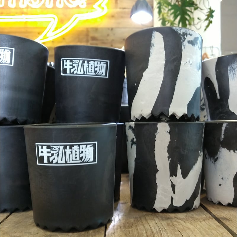 牛乳植物milkpot CUP10 | PLANTISTIC!