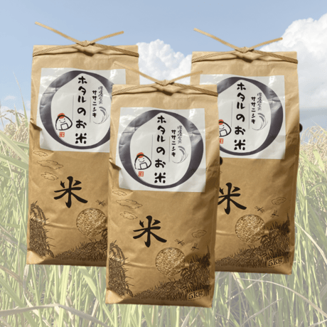 伊豆暮らし　〜伊豆自然農園〜　ササニシキ15キロ ササニシキ玄米10kg（なりさわ生命食産-宮城県産）無農薬・無