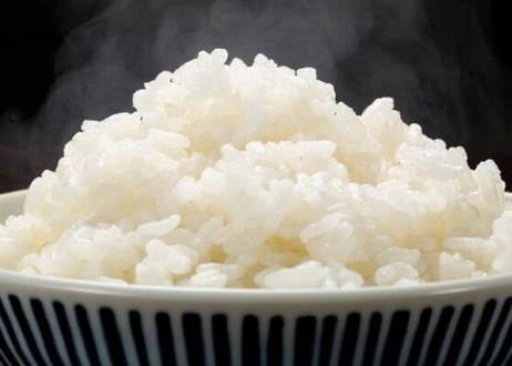 令和8年ホタルのお米(20kg)精米プラン