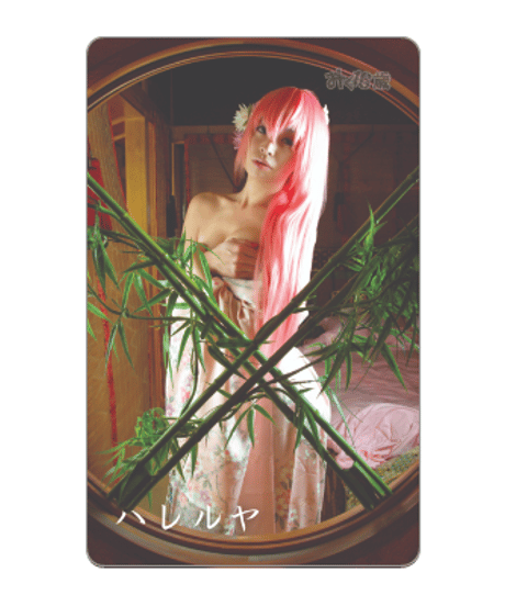 ［3/27セトリ順］DLカード［手数料＆送料無料SALE］