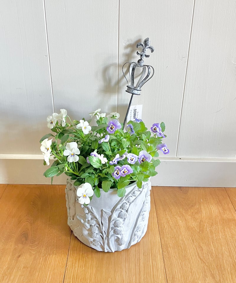 ガーデンピッククラウンS | Luca's Garden