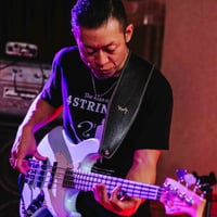 CUSTOM AUDIO JAPAN - VP4 BASS TonePack