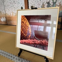【いのち展 金剛峯寺奥殿 展示作品１点のみ】LIFE IN HARMONY