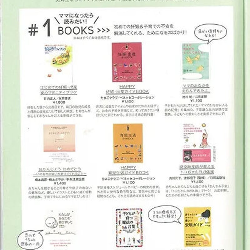 いのちのはじまり いのちのはじまり、いのちのおわり | 坂元 志歩 |本 | 通販 | Amazon