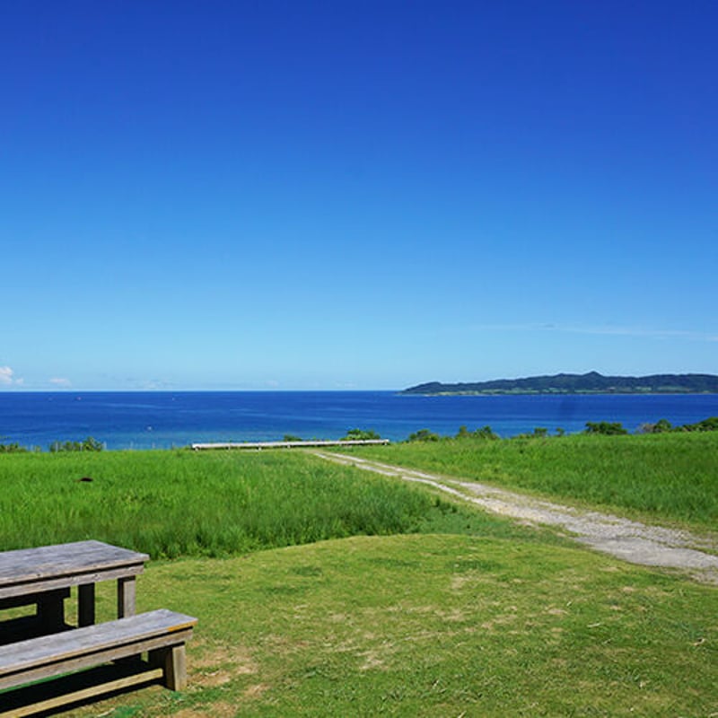 石垣島デラックスセット | 石垣島ミルミル本舗