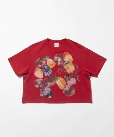Fruits paint Tshirts / red