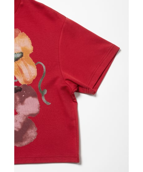 Fruits paint Tshirts / red