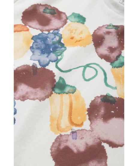 Fruits paint Tshirts / white