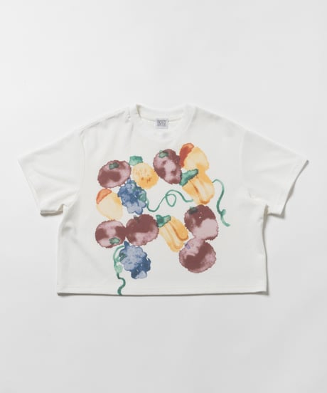 Fruits paint Tshirts / white