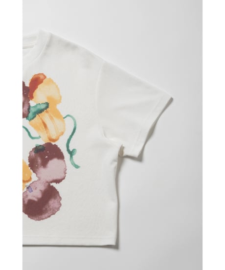 Fruits paint Tshirts / white