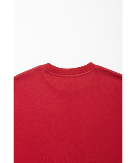 Fruits paint Tshirts / red