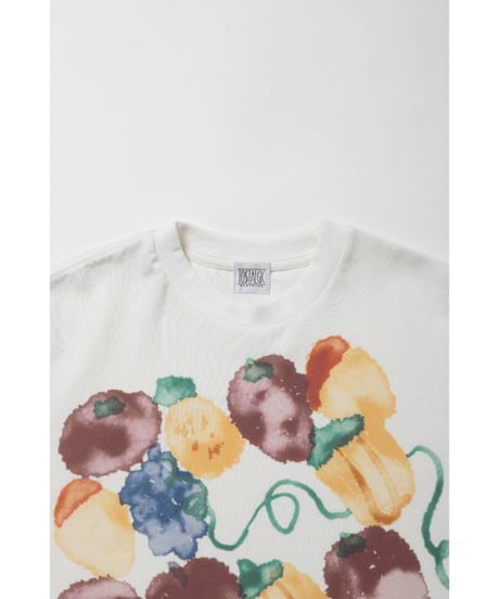 Fruits paint Tshirts / white
