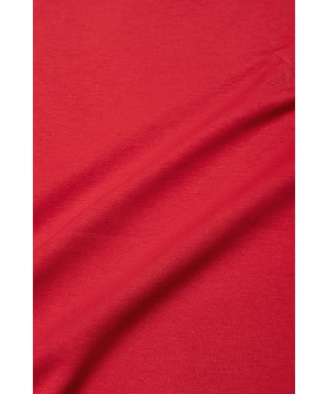 Fruits paint Tshirts / red