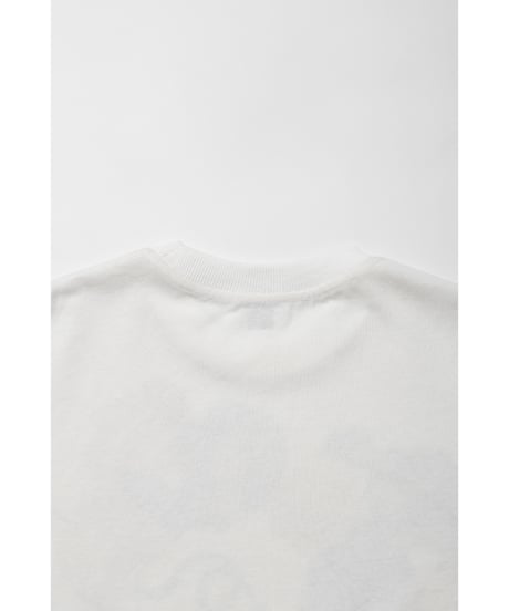 Fruits paint Tshirts / white